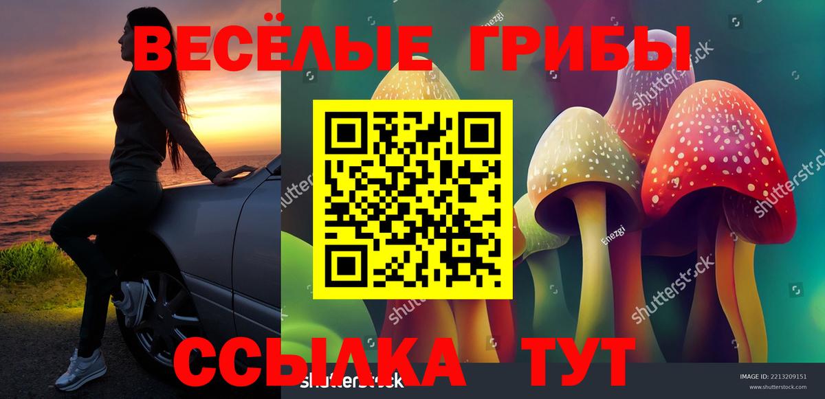 Псилоцибиновые грибы GOLDEN TEACHER  Галлюциногенные грибы мицелий  где найти наркотики  Железногорск  Вход с VPN 